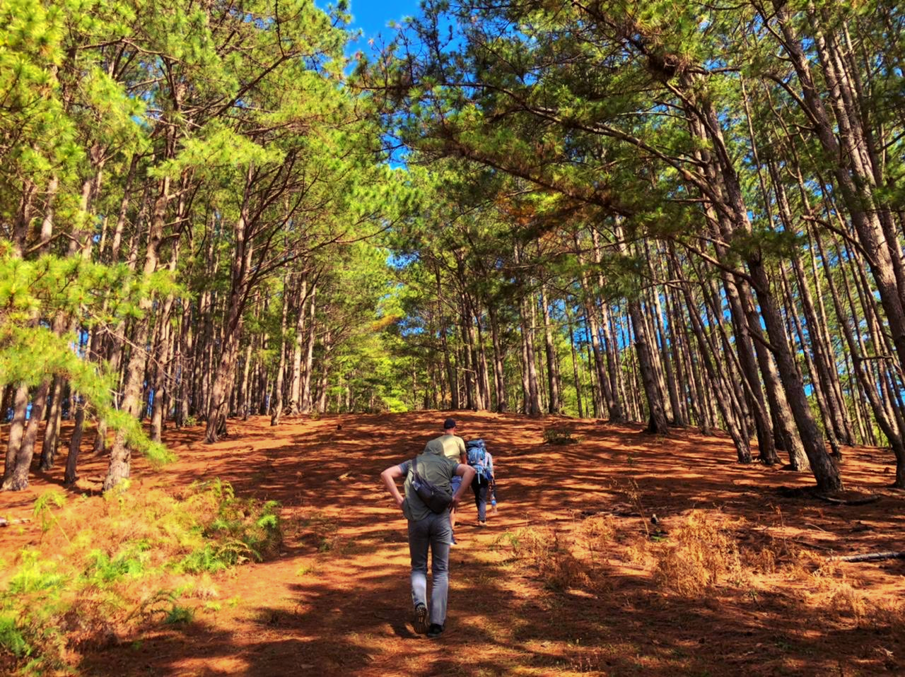Trekking Langbiang